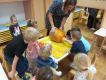 IMG_20231025_085337
